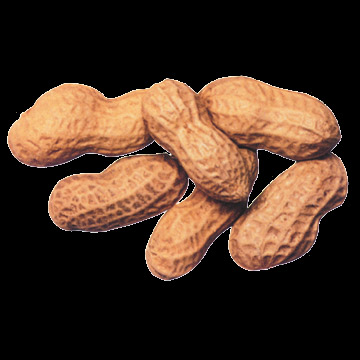 Peanuts